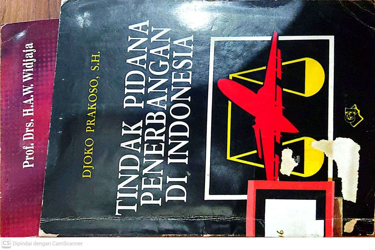 Tindak pidana penerbangan di indonesia